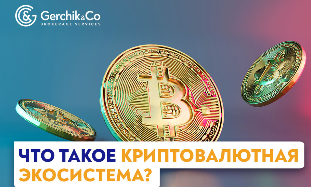 Что такое криптовалютная экосистема?