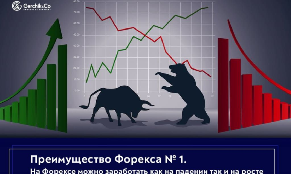 Форекс-трейдинг с нуля: подробная инструкция для новичков