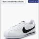 Компания Nike: от Blue Ribbon до лидера рынка