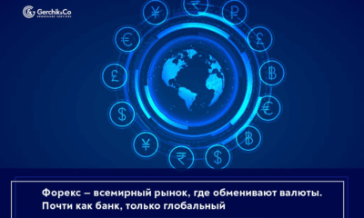 Торговля на Forex при любом движении цены