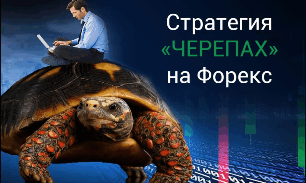 Как трейдеры-новички стали миллионерами: стратегия Черепах