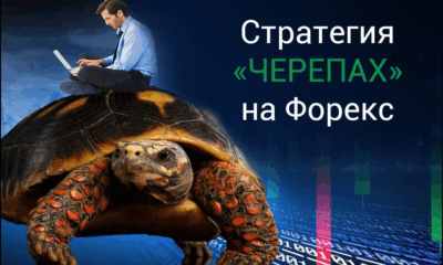 Как трейдеры-новички стали миллионерами: стратегия Черепах