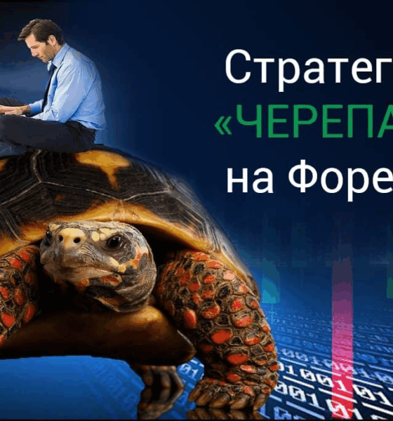 Как трейдеры-новички стали миллионерами: стратегия Черепах