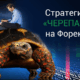 Как трейдеры-новички стали миллионерами: стратегия Черепах