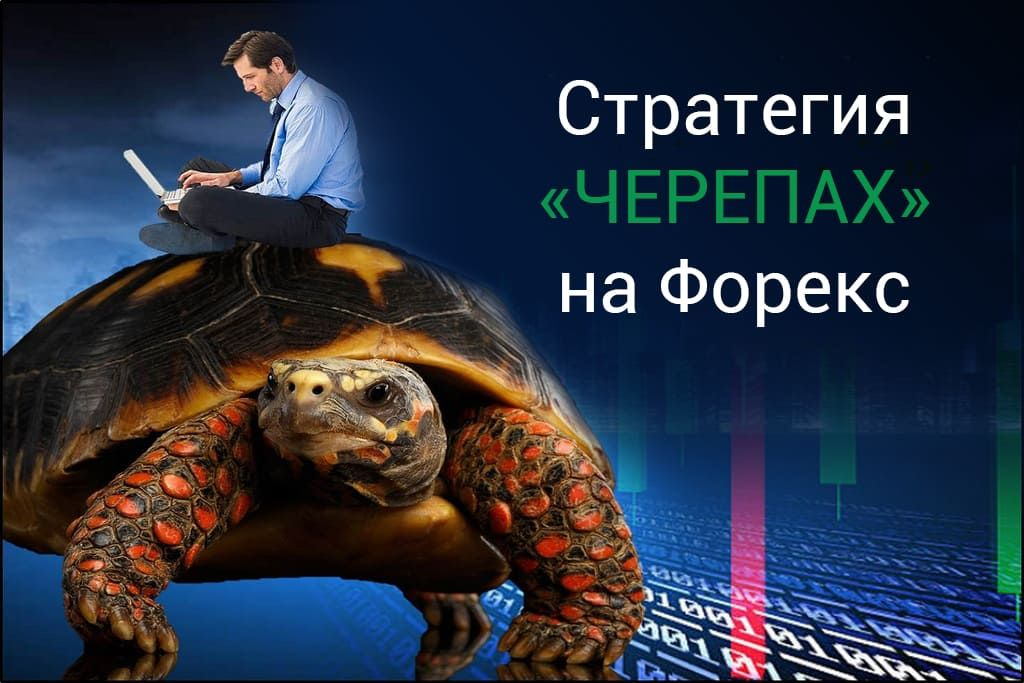 Как трейдеры-новички стали миллионерами: стратегия Черепах