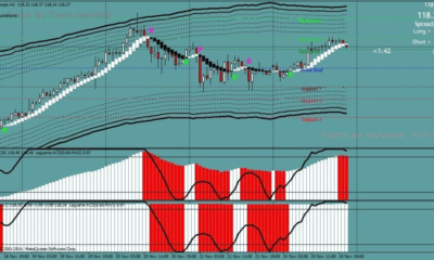 Канальная стратегия DPL: как зарабатывать на разворотах
